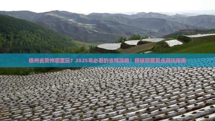 梧州去贵州哪里玩