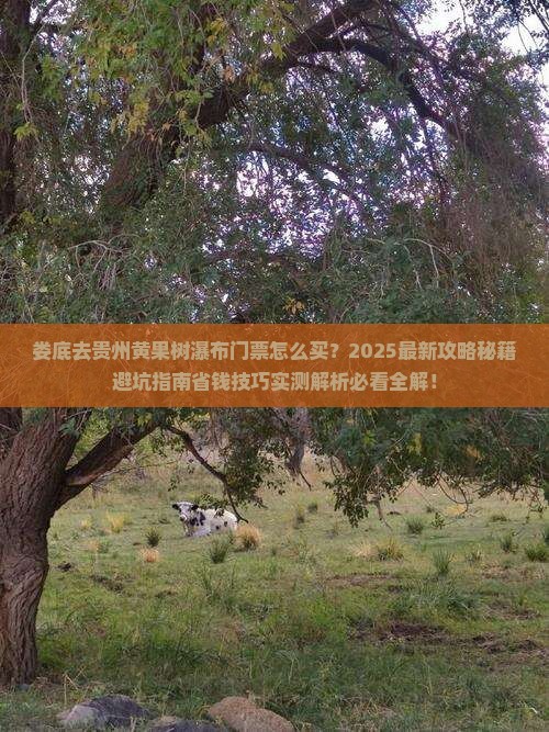 娄底去贵州黄果树瀑布门票