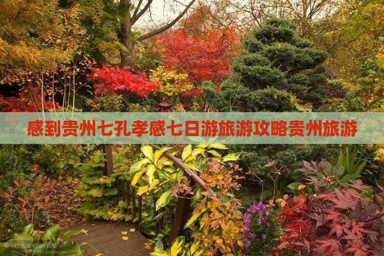孝感到贵州小七孔七日游