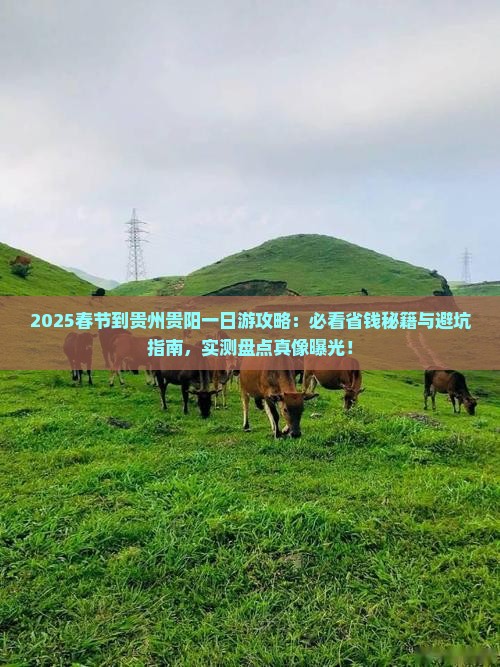 春节到贵州贵阳一日