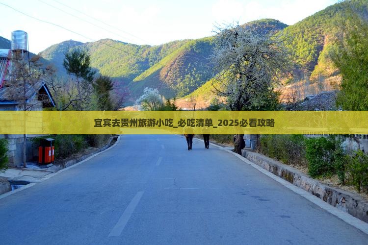 宜宾去贵州旅游小吃