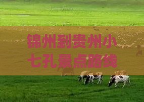 锦州到贵州小七孔景点