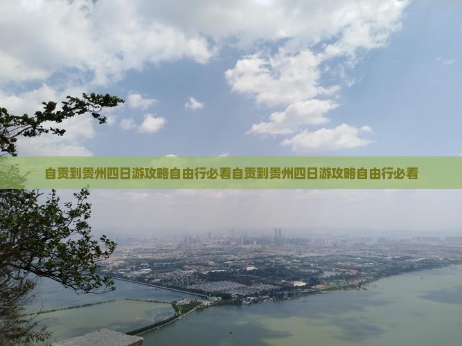 自贡到贵州四日游