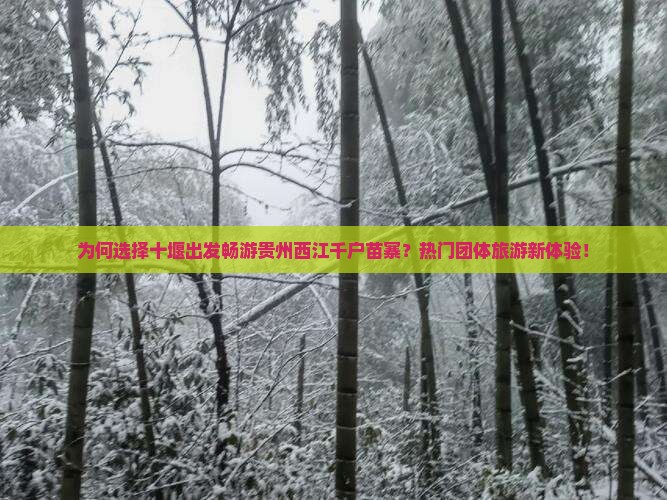 为何选择十堰出发畅游贵州西江千户苗寨？热门团体旅游新体验！