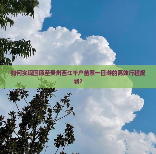如何实现固原至贵州西江千户苗寨一日游的高效行程规划？