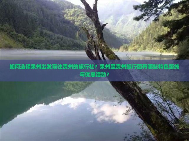 如何选择泉州出发前往贵州的旅行社？泉州至贵州旅行团有哪些特色路线与优惠活动？