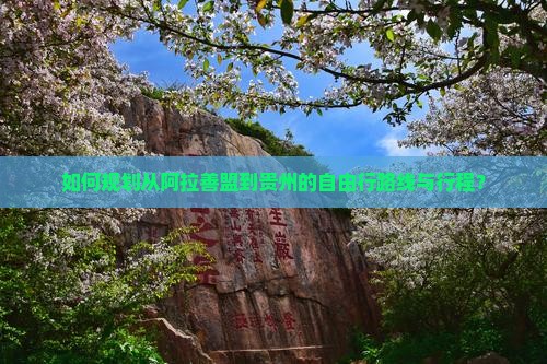 如何规划从阿拉善盟到贵州的自由行路线与行程？