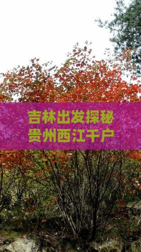 吉林出发探秘贵州西江千户苗寨：一日深度游