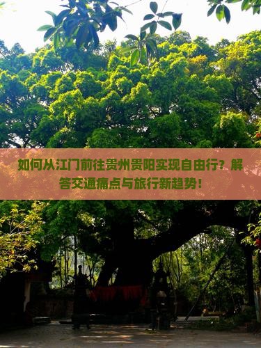 如何从江门前往贵州贵阳实现自由行？解答交通痛点与旅行新趋势！