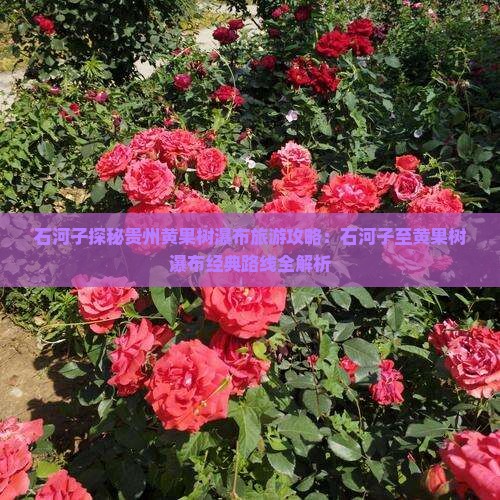 石河子探秘贵州黄果树瀑布旅游攻略：石河子至黄果树瀑布经典路线全解析