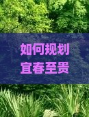 如何规划宜春至贵州六日游以避开旅游高峰和消费陷阱？