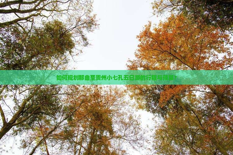 如何规划那曲至贵州小七孔五日游的行程与预算？