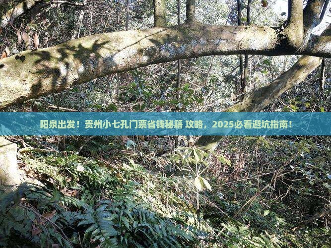 阳泉到贵州小七孔门票 阳泉到贵州小七孔门票