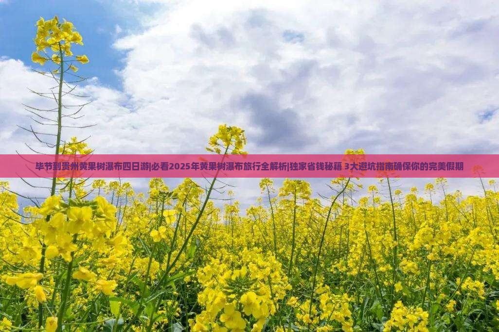 毕节到贵州黄果树瀑布四日游