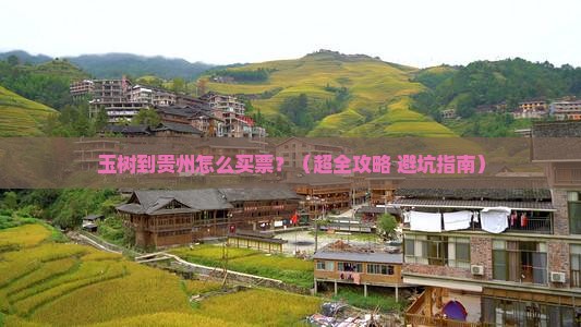 玉树到贵州门票