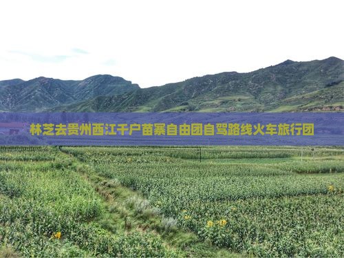 林芝去贵州西江千户苗寨自由团
