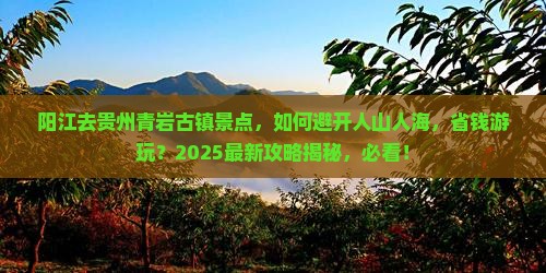 阳江去贵州青岩古镇景点