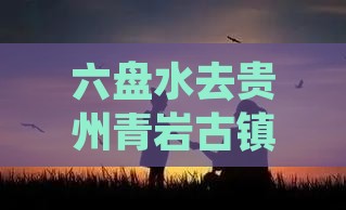 六盘水去贵州青岩古镇二日游