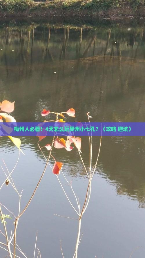 梅州去贵州小七孔四日游