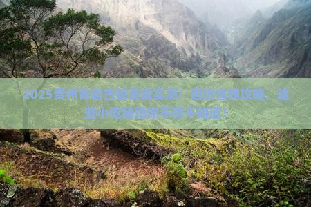 阿里到贵州青岩古镇旅游小吃