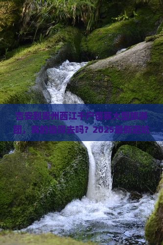 吉安到贵州西江千户苗寨大型旅游团
