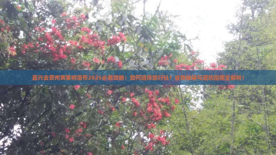 嘉兴去贵州黄果树瀑布旅行社