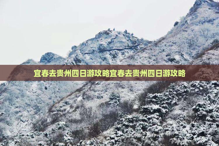 宜春去贵州四日游