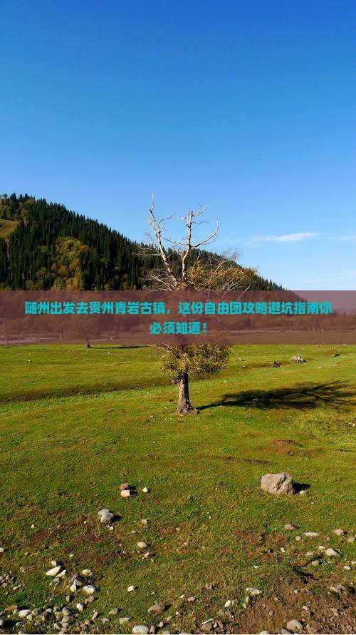 随州去贵州青岩古镇自由团