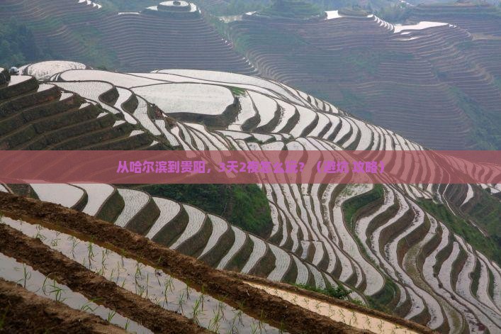 哈尔滨去贵州贵阳个人游