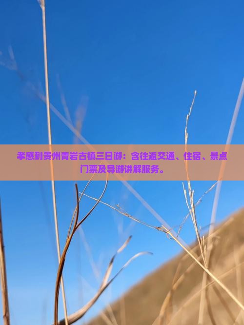 孝感到贵州青岩古镇三日游