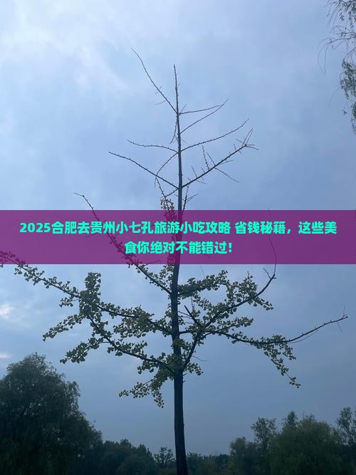 合肥去贵州小七孔旅游小吃
