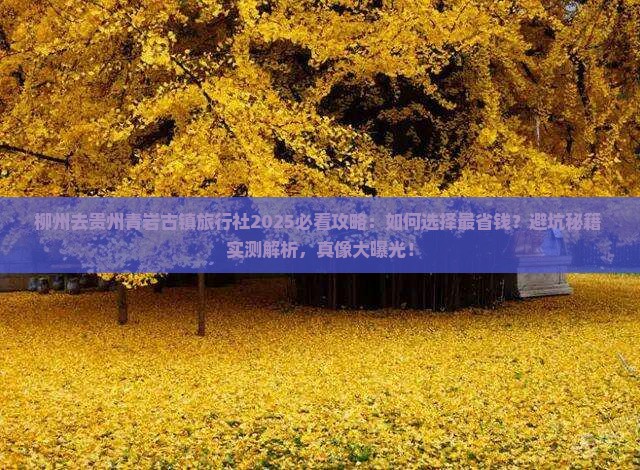 柳州去贵州青岩古镇旅行社