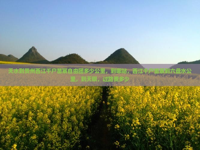 天水到贵州西江千户苗寨自由团