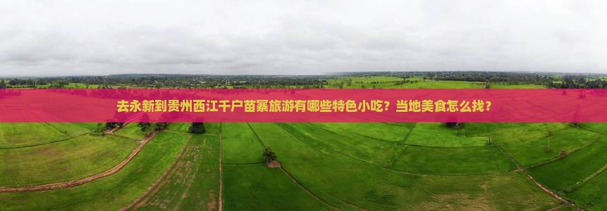 去永新到贵州西江千户苗寨旅游有哪些特色小吃？当地美食怎么找？