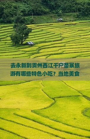 去永新到贵州西江千户苗寨旅游有哪些特色小吃？当地美食怎么找？