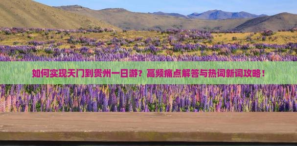 如何实现天门到贵州一日游？高频痛点解答与热词新词攻略！