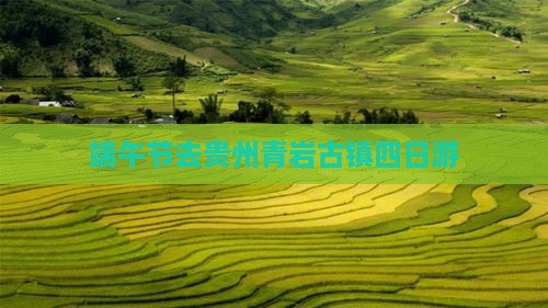 端午节去贵州青岩古镇四日游