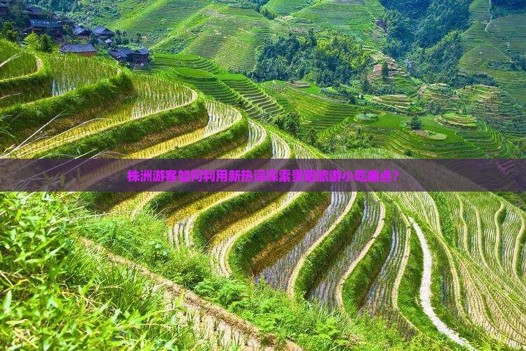 株洲游客如何利用新热词探索贵阳旅游小吃痛点？