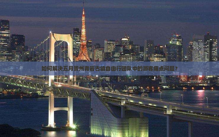 如何解决五月贵州青岩古镇自由行团队中的游客痛点问题？