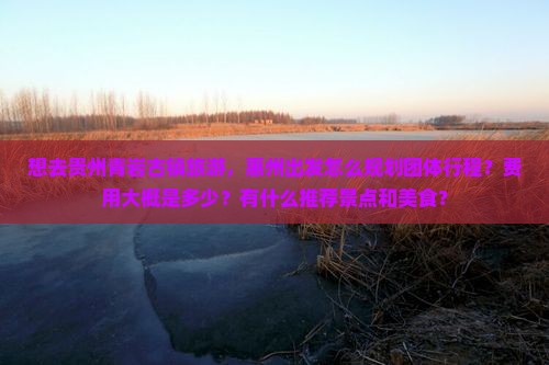 想去贵州青岩古镇旅游，惠州出发怎么规划团体行程？费用大概是多少？有什么推荐景点和美食？