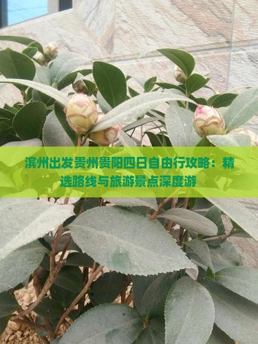 滨州出发贵州贵阳四日自由行攻略：精选路线与旅游景点深度游