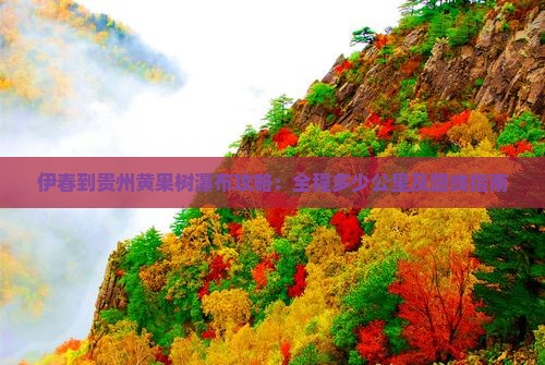伊春到贵州黄果树瀑布攻略：全程多少公里及路线指南