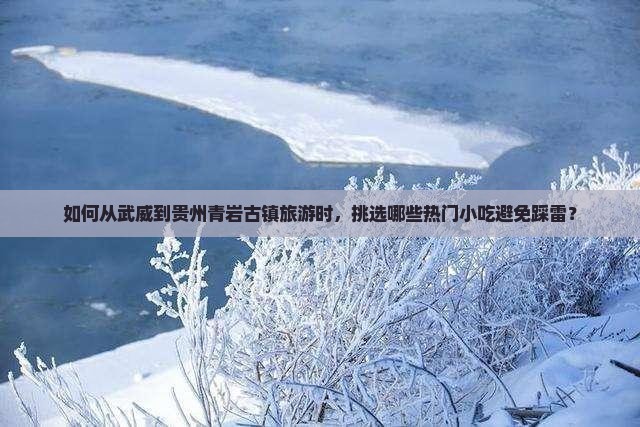 如何从武威到贵州青岩古镇旅游时，挑选哪些热门小吃避免踩雷？