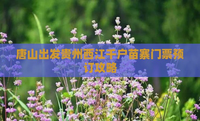 唐山出发贵州西江千户苗寨门票预订攻略