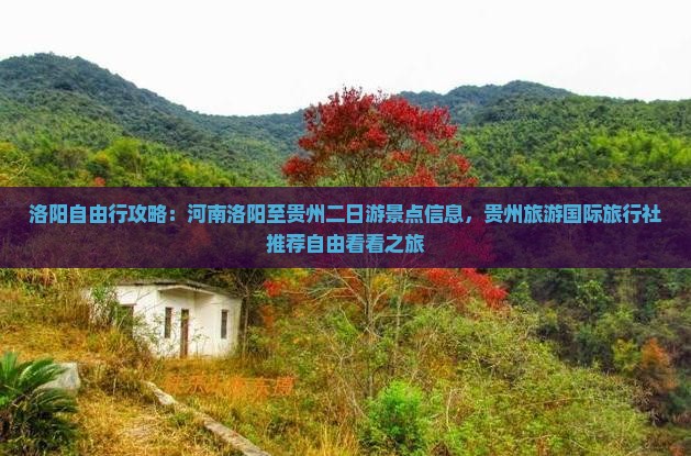 洛阳自由行攻略：河南洛阳至贵州二日游景点信息，贵州旅游国际旅行社推荐自由看看之旅