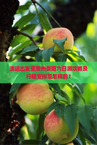 清远出发至贵州贵阳六日游攻略及行程安排是怎样的？