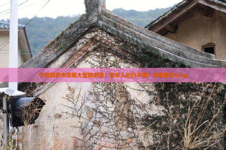 宁德到贵州贵阳大型旅游团？老年人出行不便？快看旅拍Vlog
