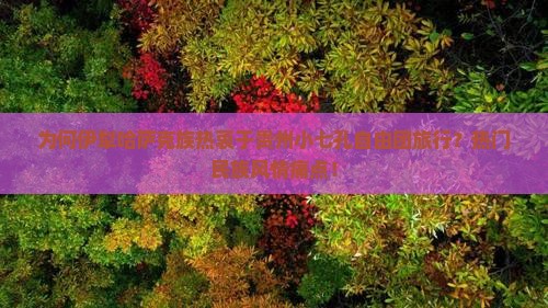 为何伊犁哈萨克族热衷于贵州小七孔自由团旅行？热门民族风情痛点！