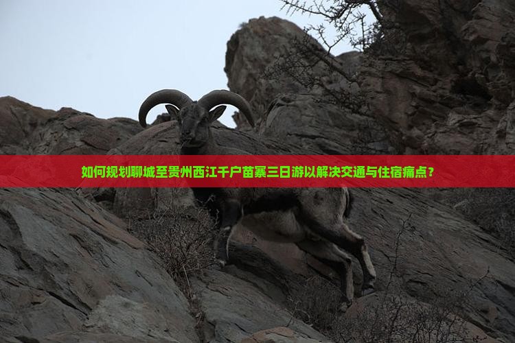 如何规划聊城至贵州西江千户苗寨三日游以解决交通与住宿痛点？