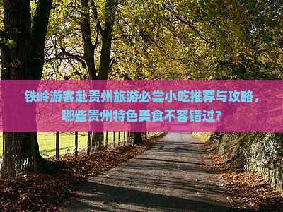 铁岭游客赴贵州旅游必尝小吃推荐与攻略，哪些贵州特色美食不容错过？